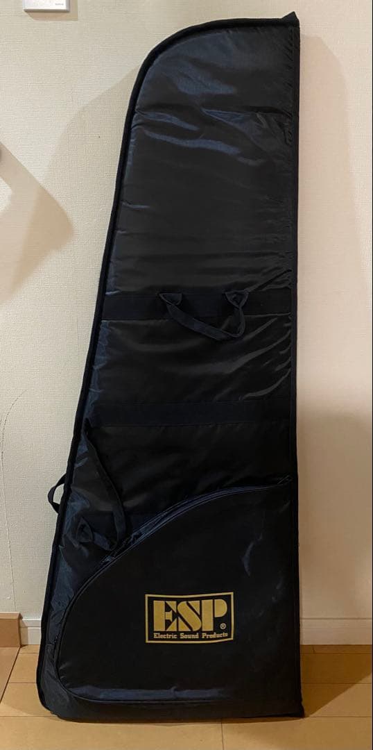 テレキャスター'60sタイプ ESP Edwards E-TE-98CTM