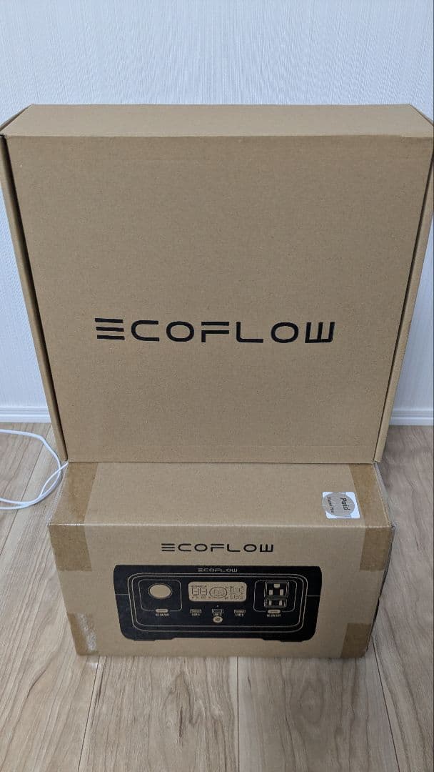 ECOFLOW 2 256Wh 【おまけ　ショルダーバッグ】