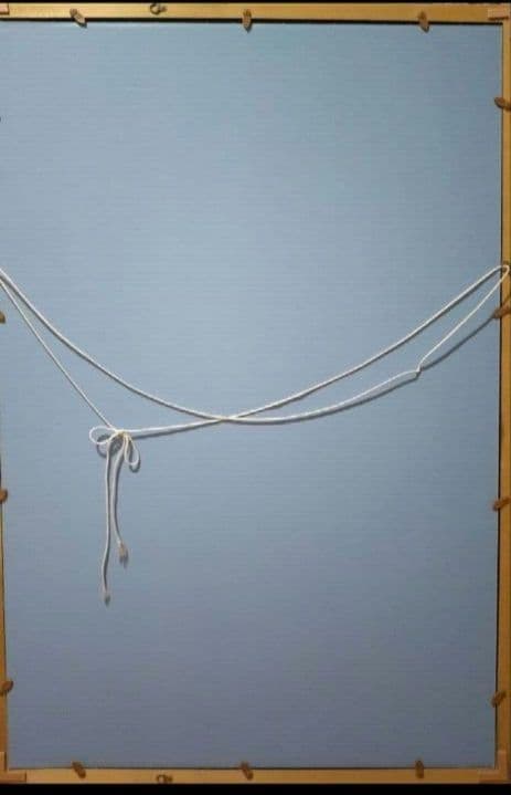 天野喜孝　ジグソーパズル　額付き　完成品 　1000P