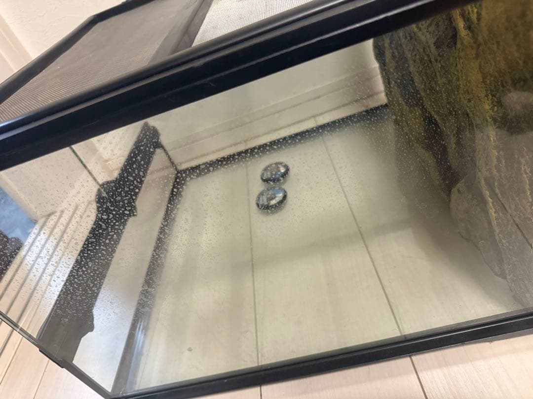 GEX EXOTERRA グラステラリウム 4530