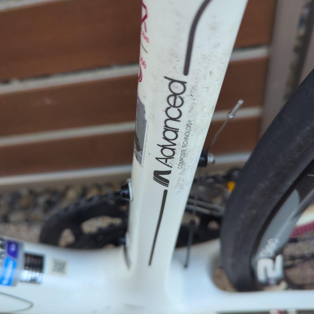 ジャイアント　カーボンディスクロードバイク