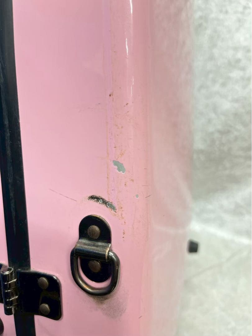 イーストマン　Eastman　バイオリンケース　4/4　パステルピンク