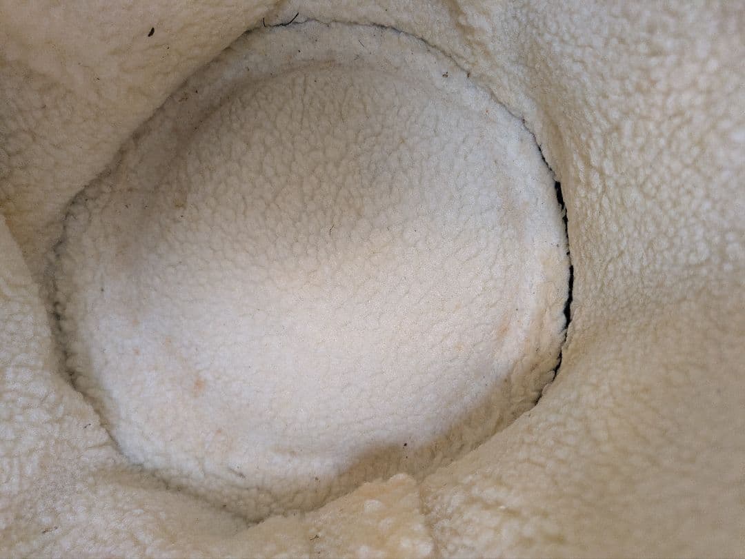 現状渡し　ジャンベ　31cm　皮破れ有り　ケース付き