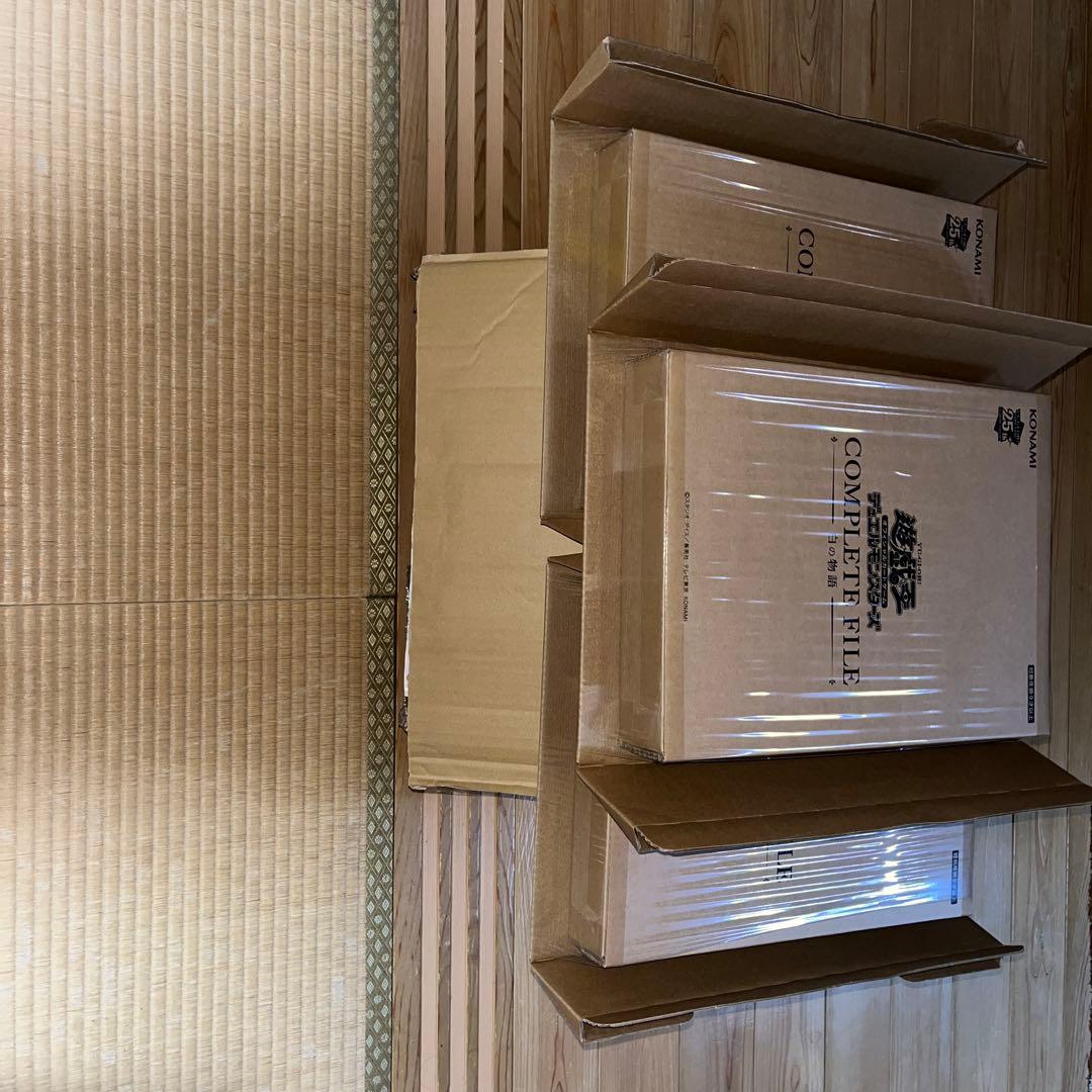 遊戯王OCGデュエルモンスターズ COMPLETE FILE －白の物語－