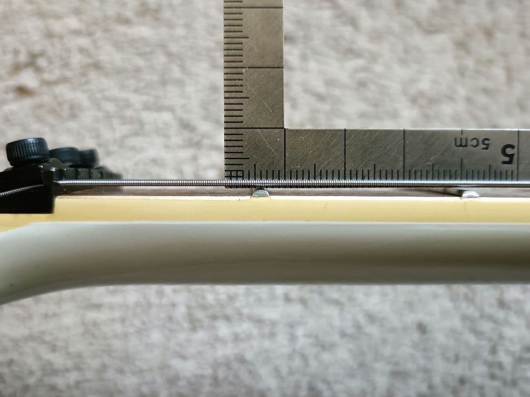 フェルナンデス TEJ limited edition サスティナー搭載