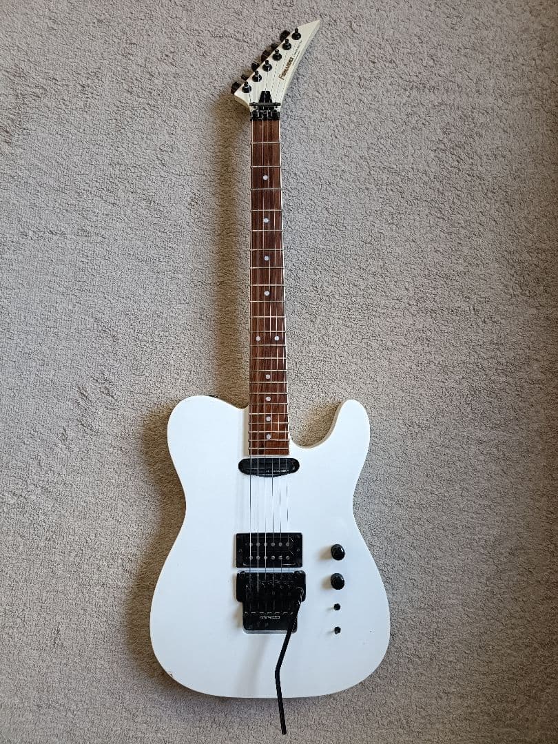 フェルナンデス TEJ limited edition サスティナー搭載