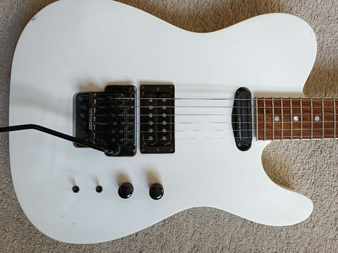 フェルナンデス TEJ limited edition サスティナー搭載