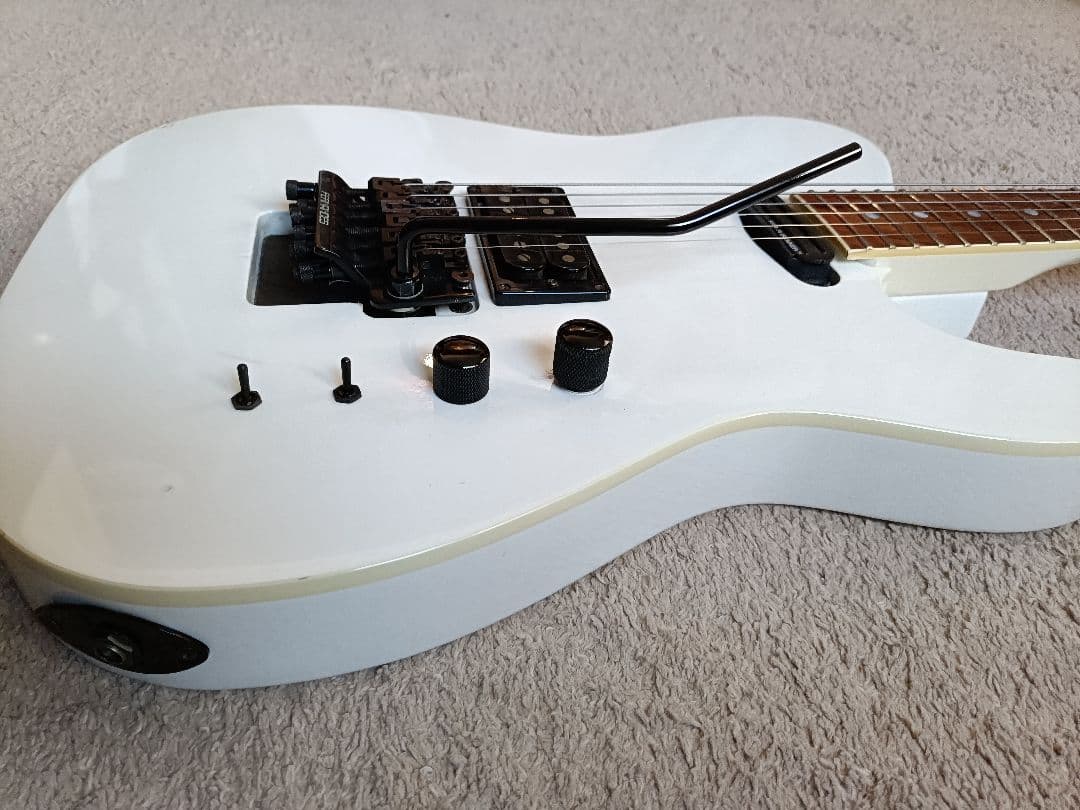 フェルナンデス TEJ limited edition サスティナー搭載