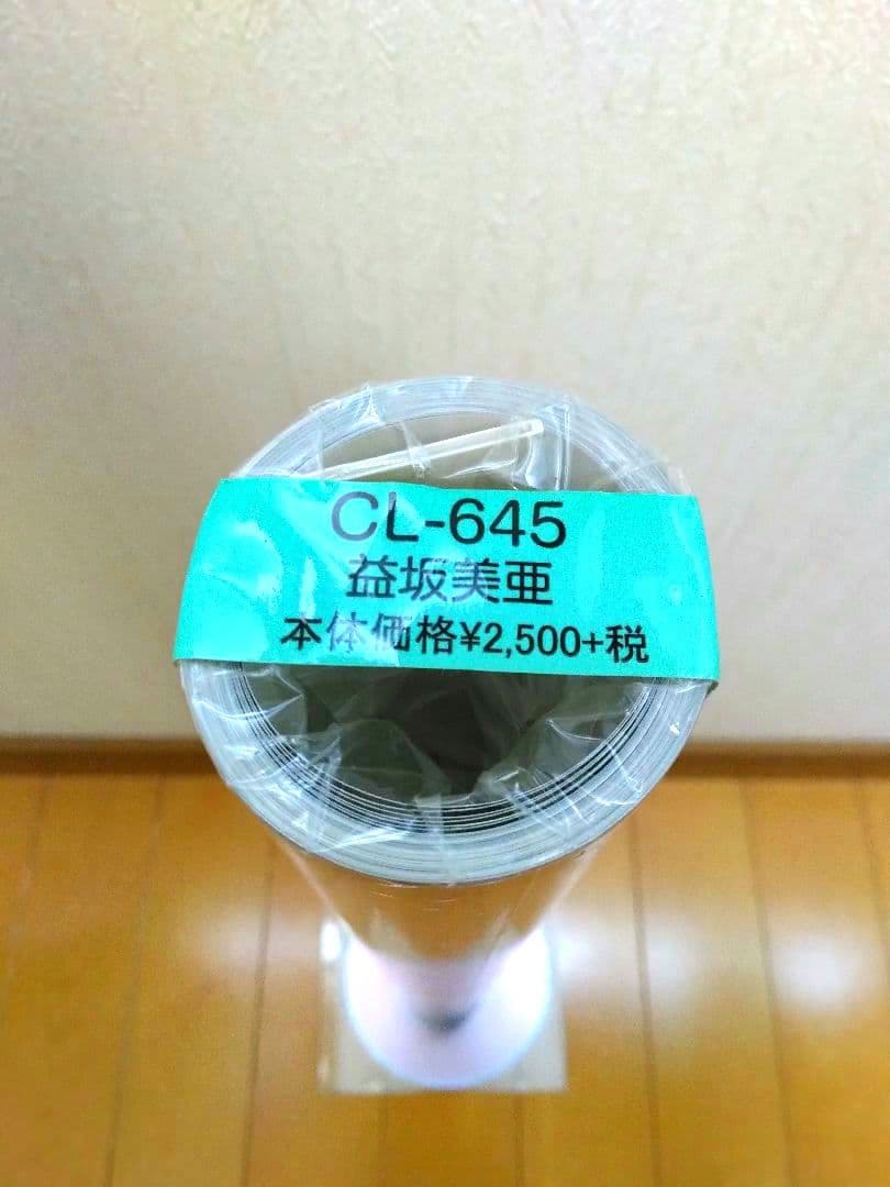 益坂美亜 カレンダー タテ73センチ 特大B2サイズ 8枚構成 2019 未開封