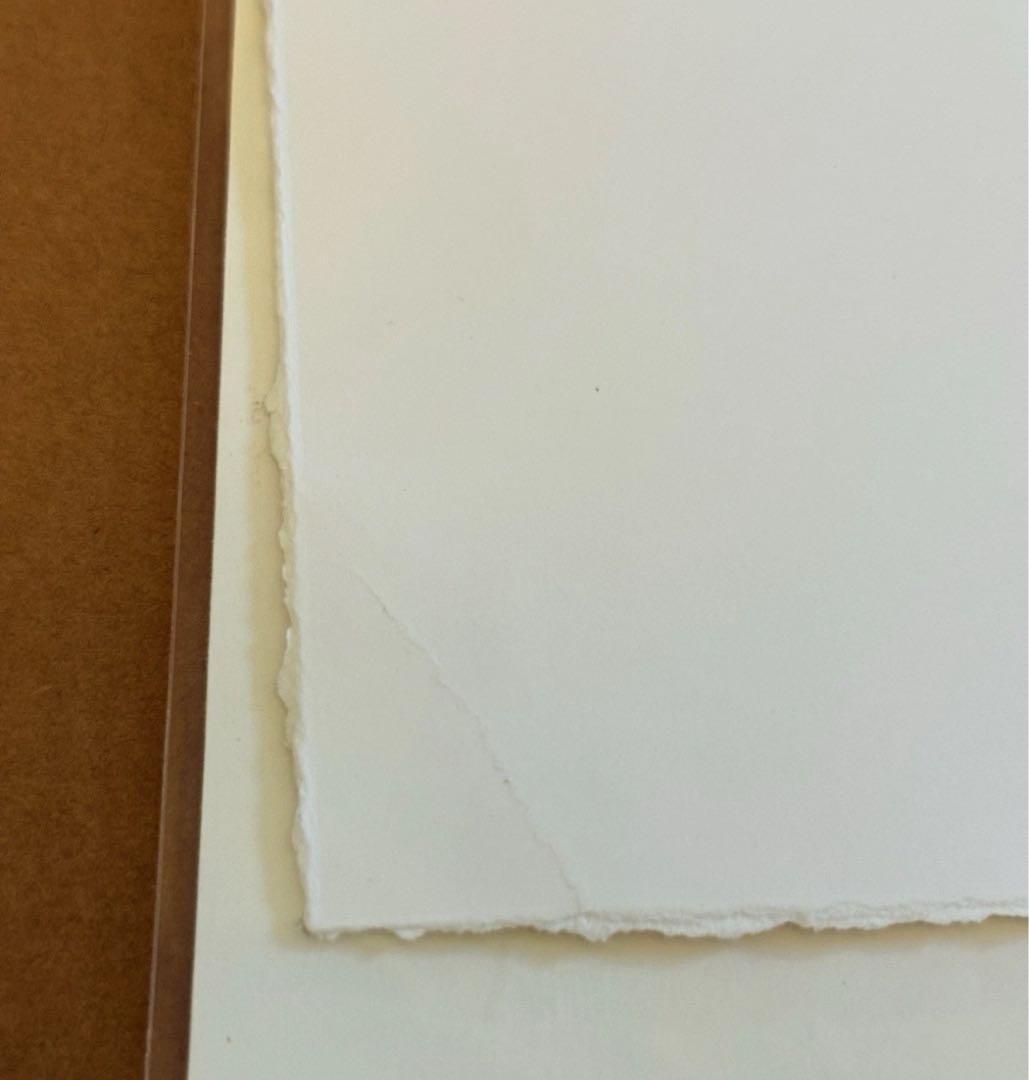 Joshua Vides ジョシュアヴィーダス シルクスクリーン 大判　アート