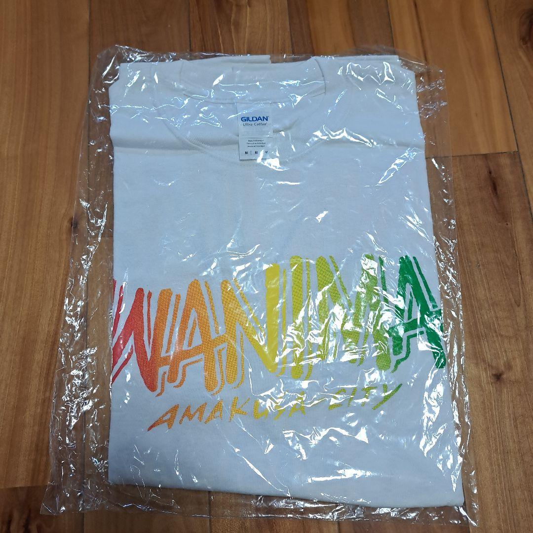 【レア】WANIMA　天草限定　Tシャツ　二枚組