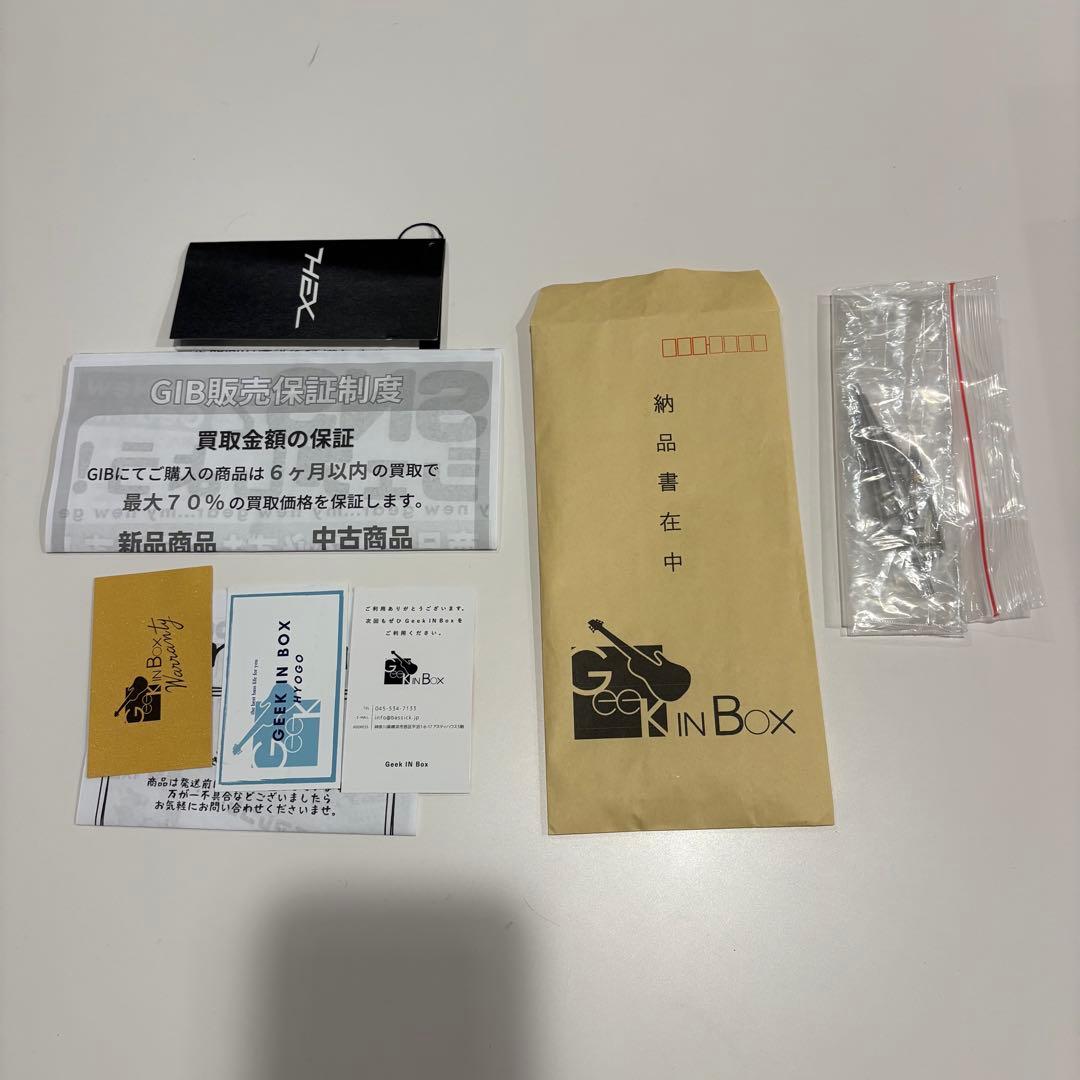 ギター HEX Guitars / N500P Black