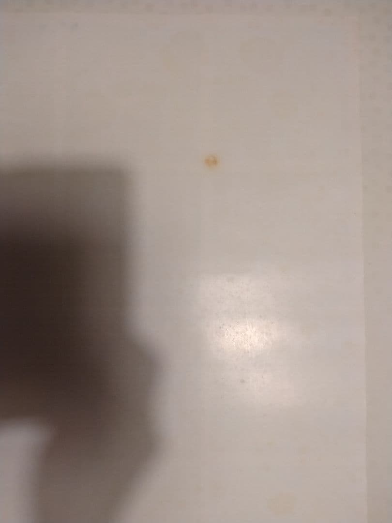 幻夢戦記レダ　いのまたむつみ　アニメ版　B2サイズ　ポスター　当時物