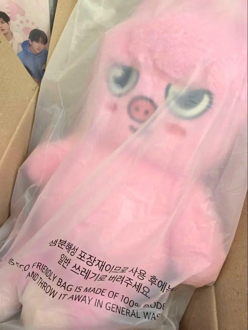 2時間だけタイムセール スキズ テディベア DWAEKKI チャンビン