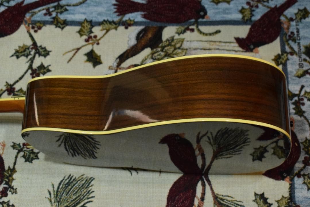 YAMAHA ヤマハ FG730S トップ単板【ソフトケース付/状態良好】