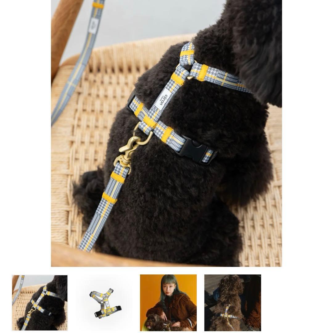 citron 犬用ハーネス グレー・チェックハーネスセット Matthew