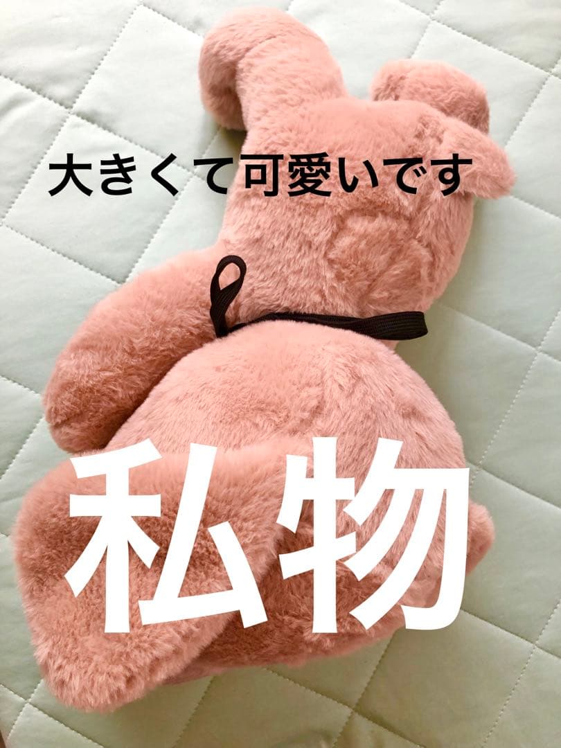 【私物ぬいぐるみ付き★】D ディー　ASAGI 浅葱　お楽しみ袋 グッズ チェキ