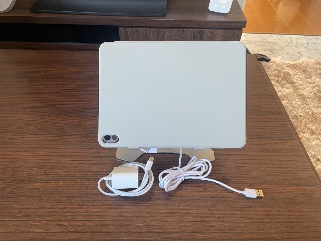 L*s様 Apple iPad Pro 11インチ スペースグレー 本体　M4