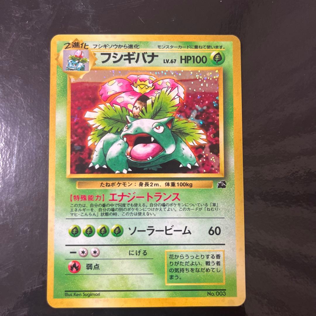 旧裏　フシギバナ