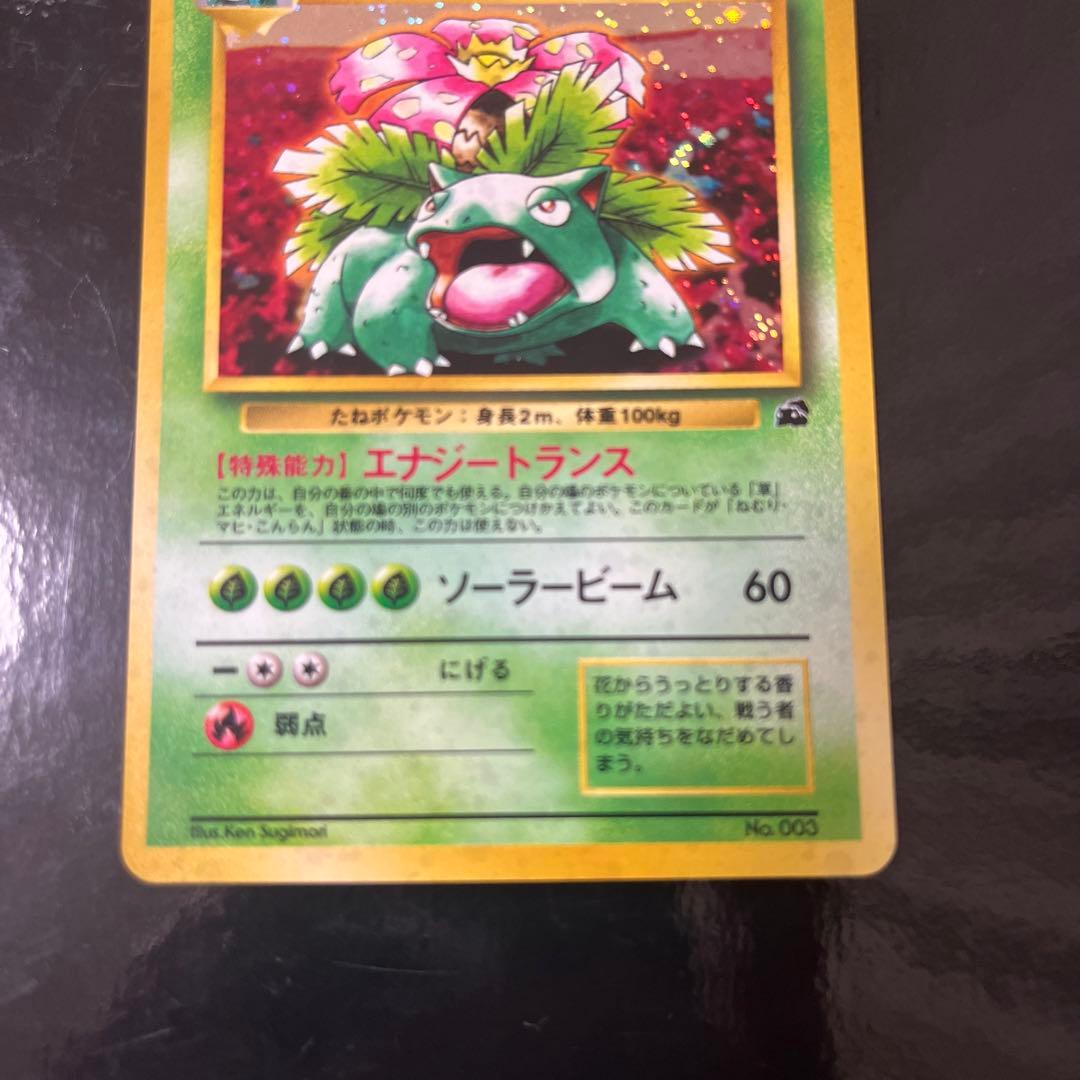 旧裏　フシギバナ