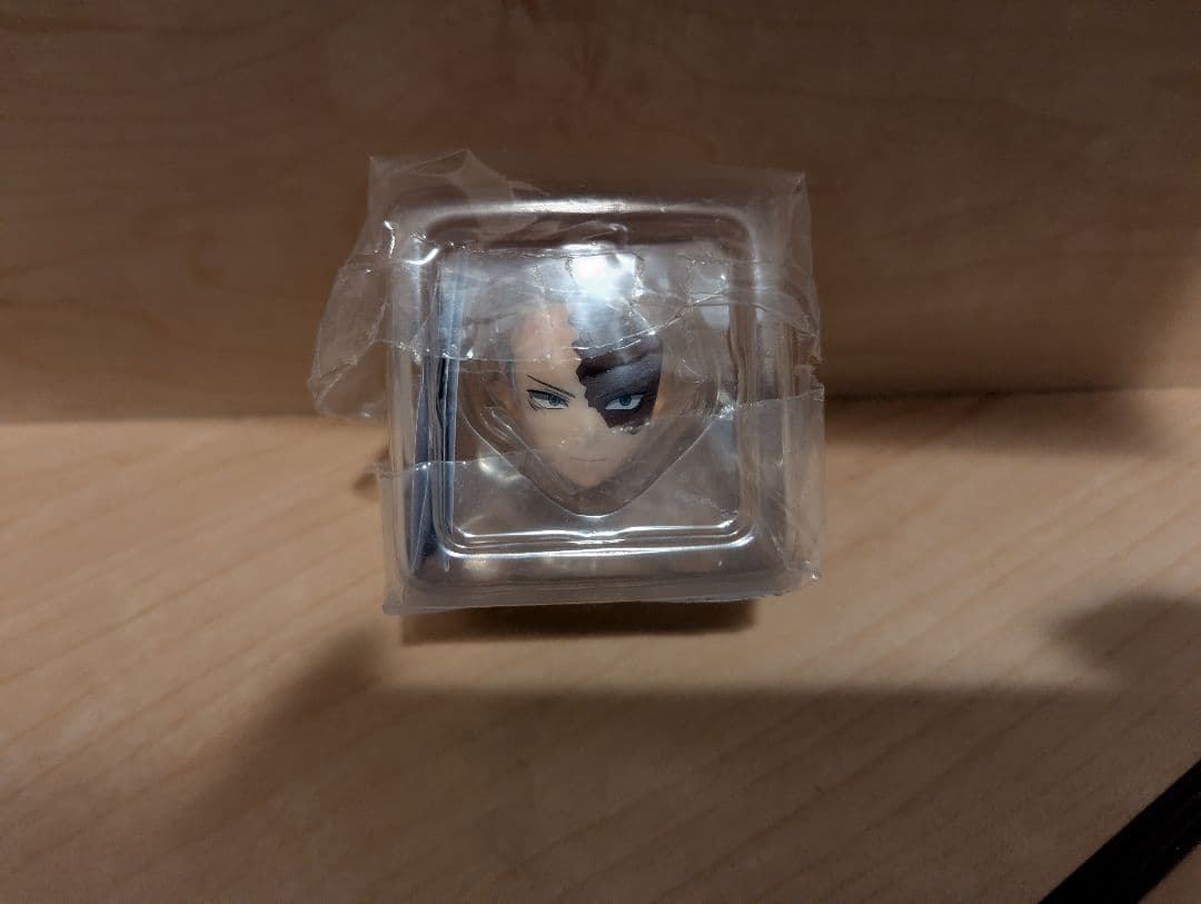 SHOTO TODOROKI Ver.2 フィギュア