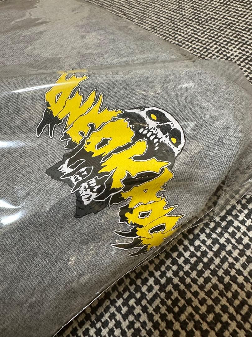 ONEOKROCK 2024 プルオーバーパーカーB 【Lサイズ】新品未使用