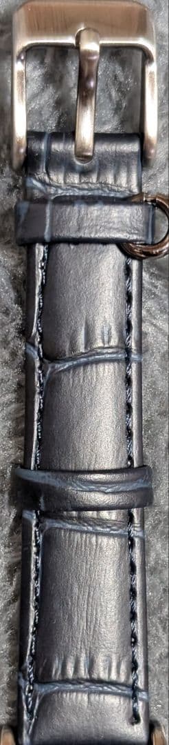 SuperGroupies ヴァニタスの手記（カルテ）モデル 腕時計