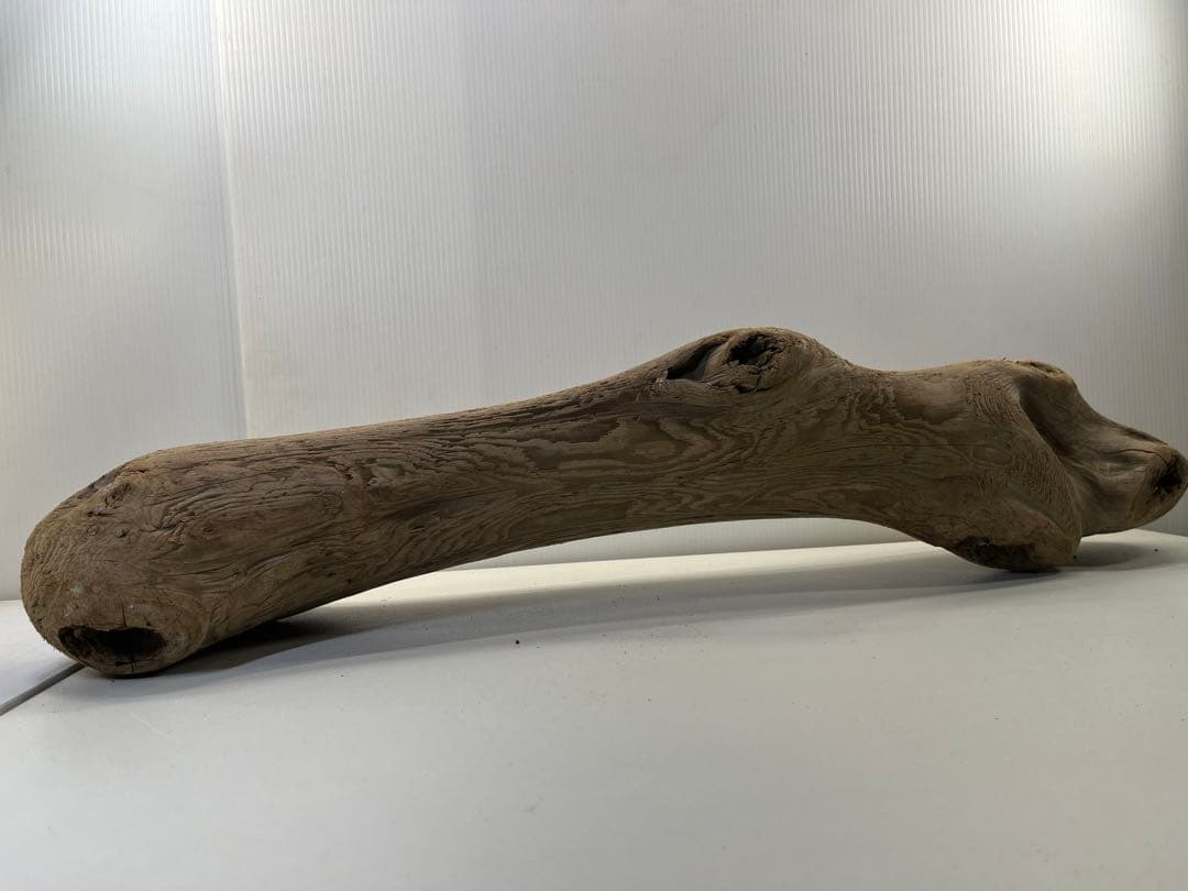 n42特大流木 大型流木 アク抜き済み 爬虫類シェルター レイアウト用 登り木