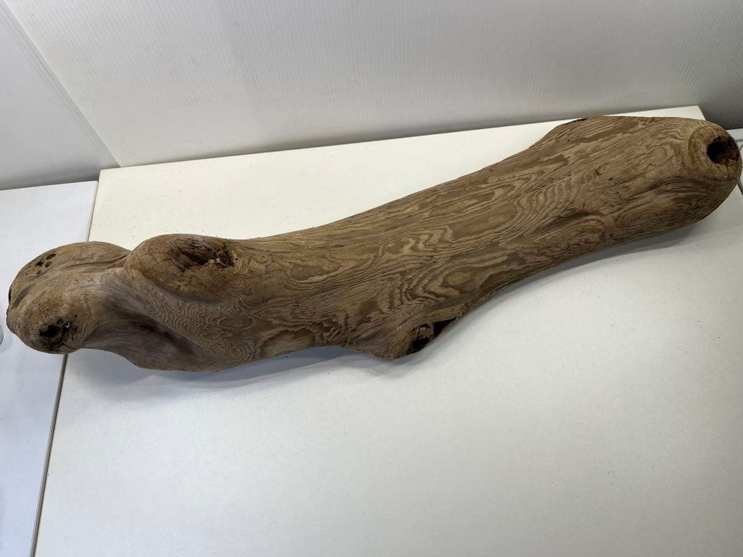 n42特大流木 大型流木 アク抜き済み 爬虫類シェルター レイアウト用 登り木