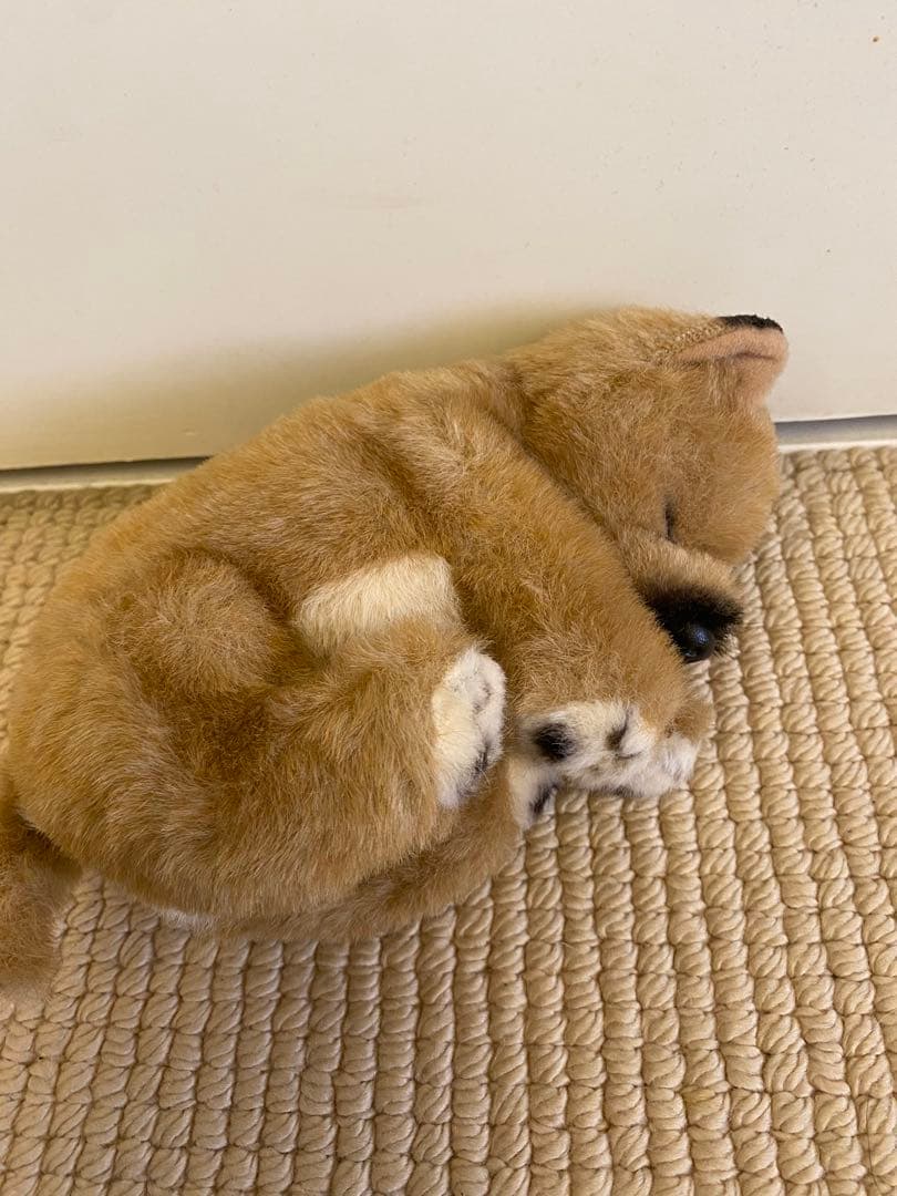 四季オリジナル　柴犬　眠り　ぬいぐるみ　美品