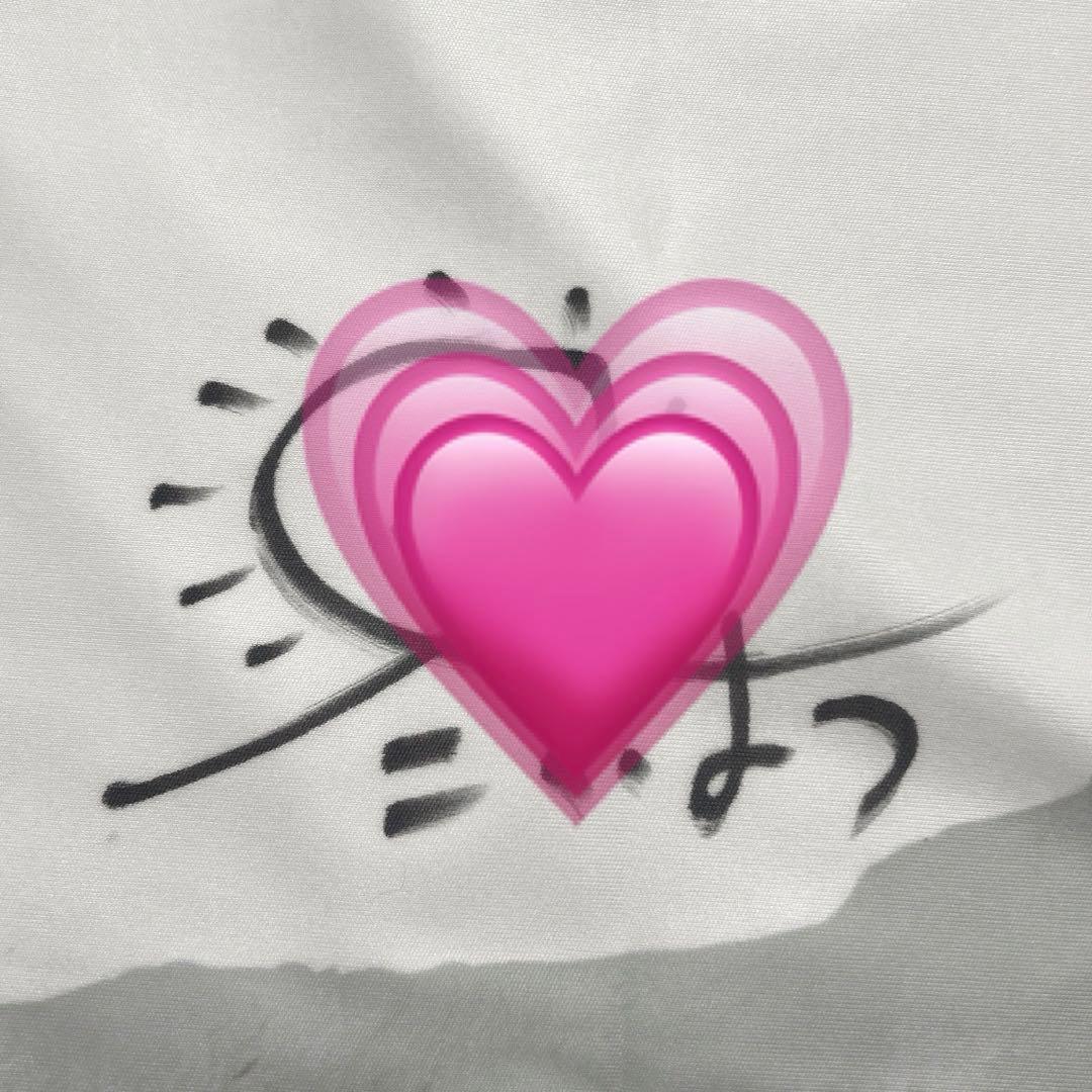 らぶしっく たいよう 直筆サイン入り 抱き枕カバー