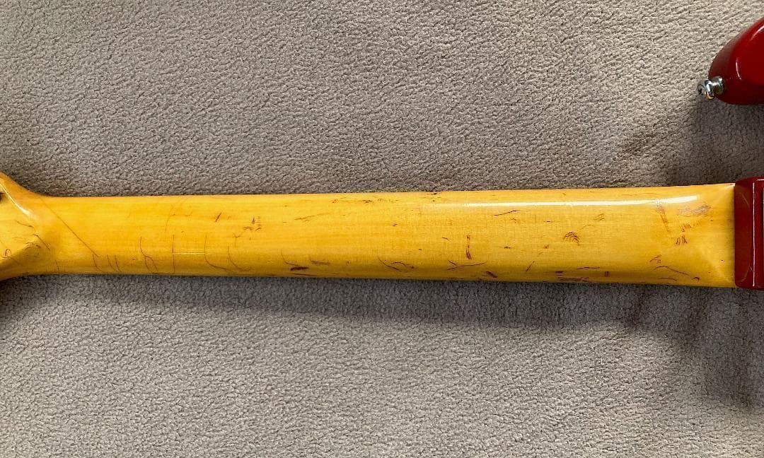 グヤトーン LG-85T 1960s ORIGINAL FOIL PUPS