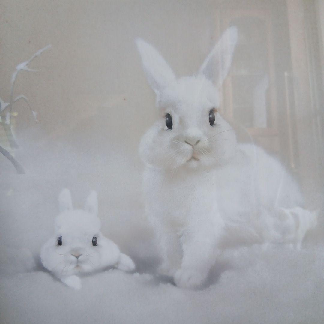 新品同様　中川脩（中原脩）雪の朝　オリジナル アールビバン　高級額　68x60