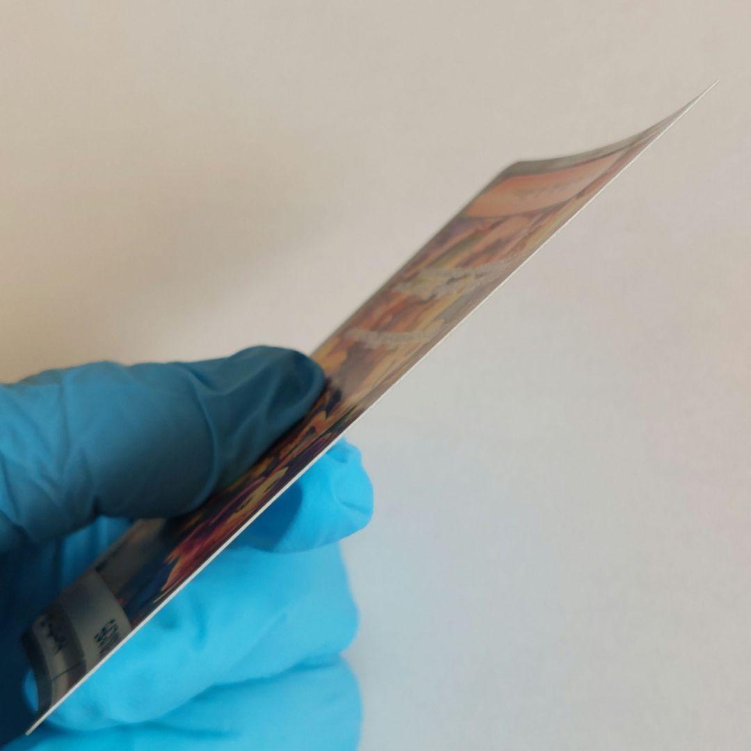 アセロラのいたずら　SAR