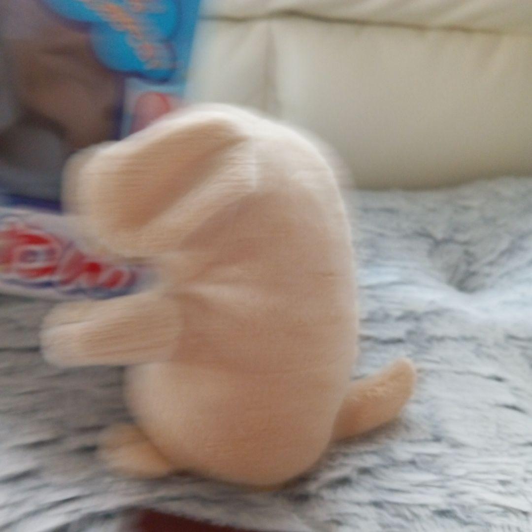 こえマネわんちゃん美品✨️