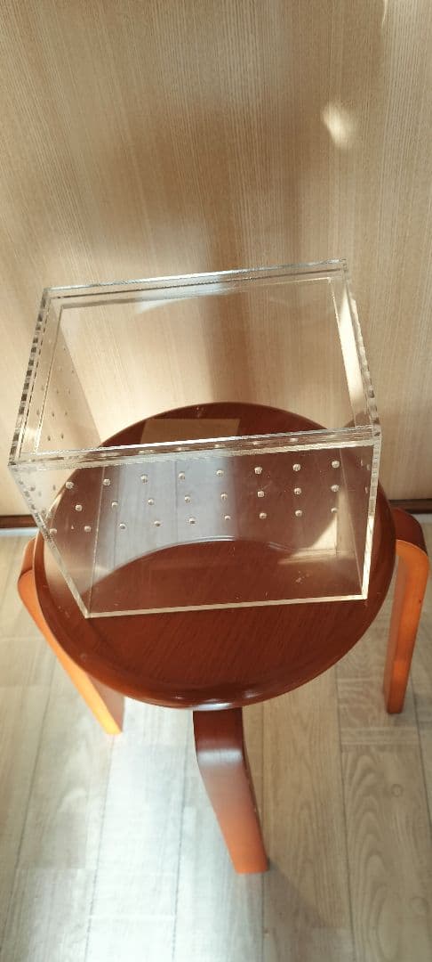 アクリル 虫かご 昆虫飼育ケース