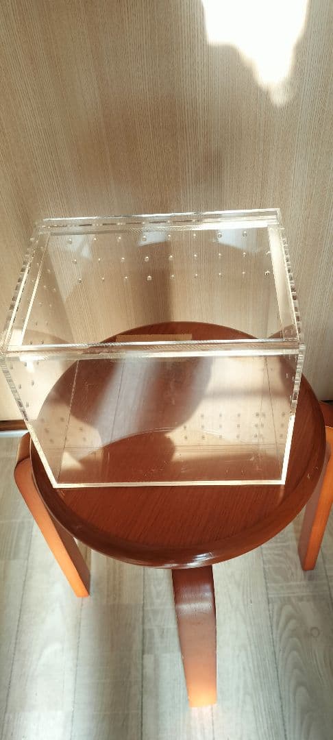 アクリル 虫かご 昆虫飼育ケース