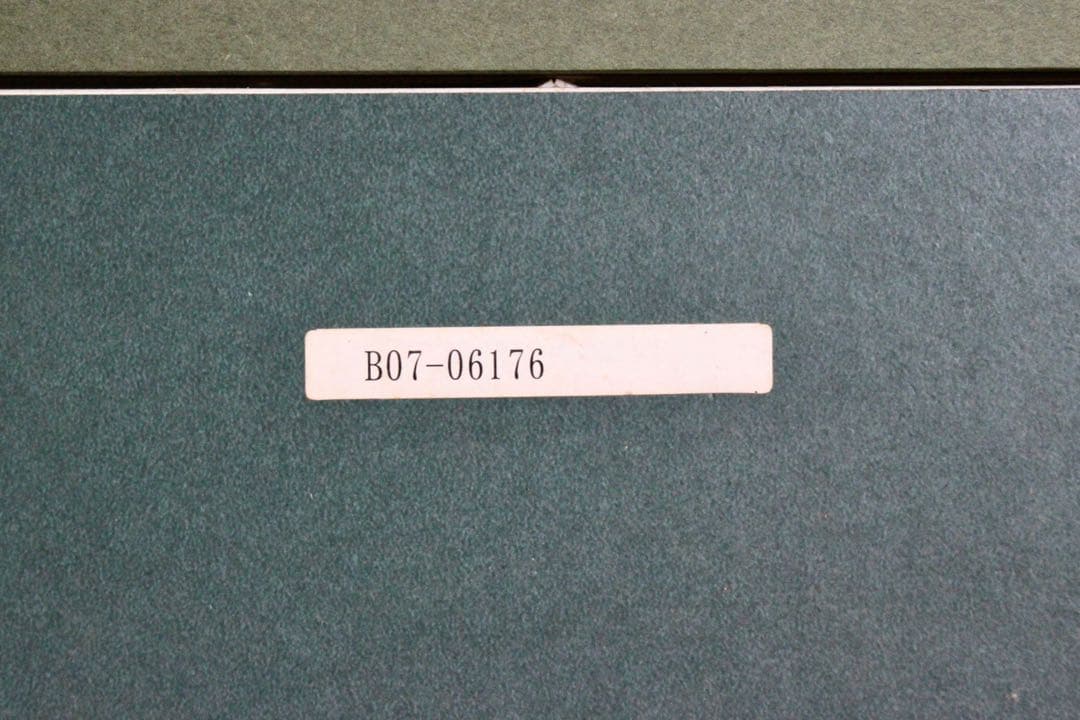 花乙女コレクション【佐藤瑞玲　きざし】購入金額より60％お値引き！！