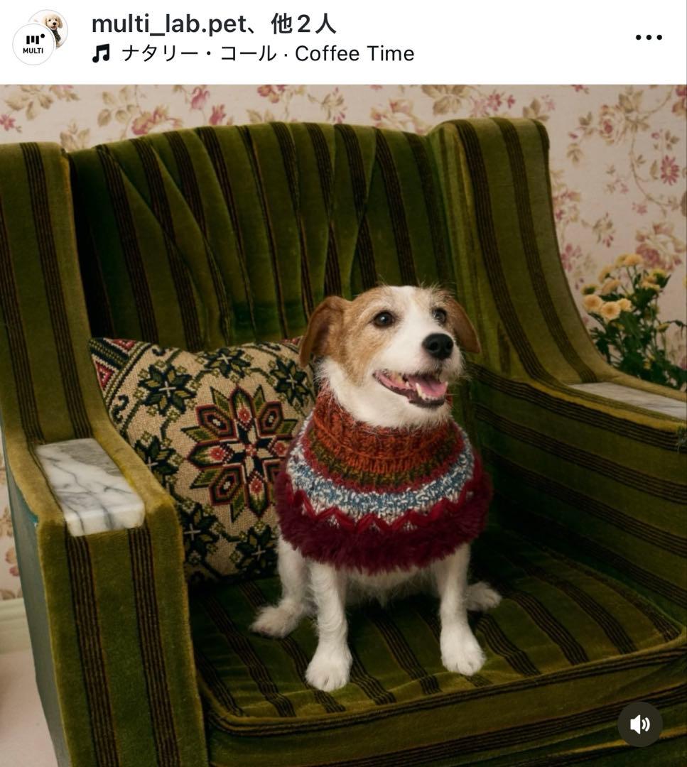 MULTI ニット　スヌード　ワンちゃん用