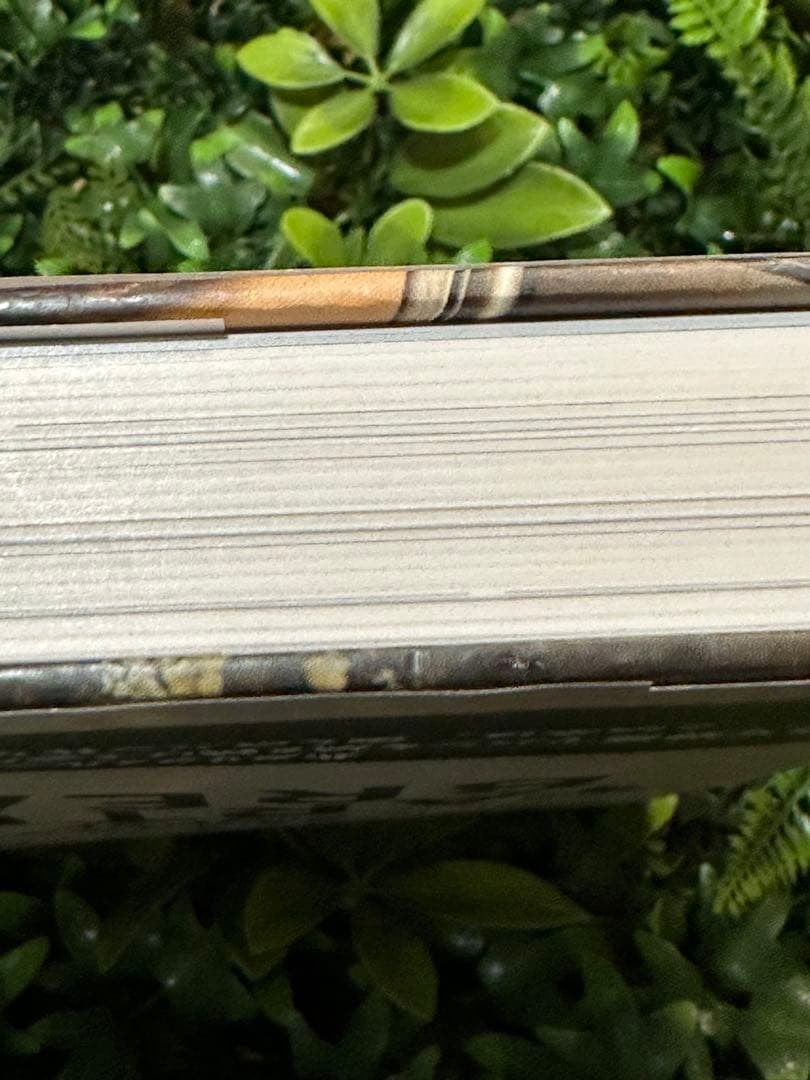 タルティーン・ブレッド チャド・ロバートソン クロニクルブックス