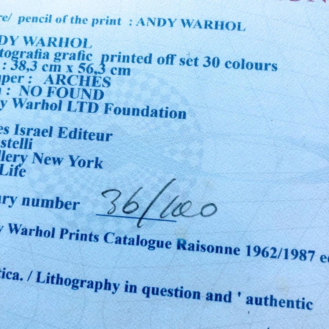 ＃3895 アンディ ウォーホル リトグラフ ジョンレノン 世界 100枚 限定
