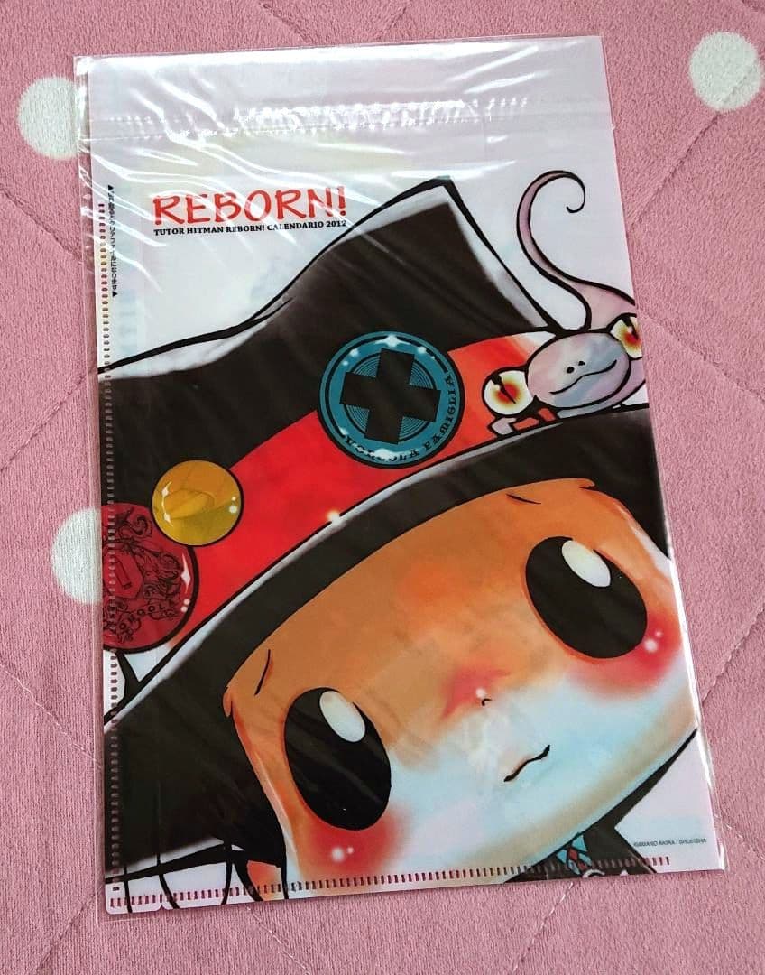 家庭教師ヒットマンREBORN！ 集英社コミックカレンダー 原作絵 天野明