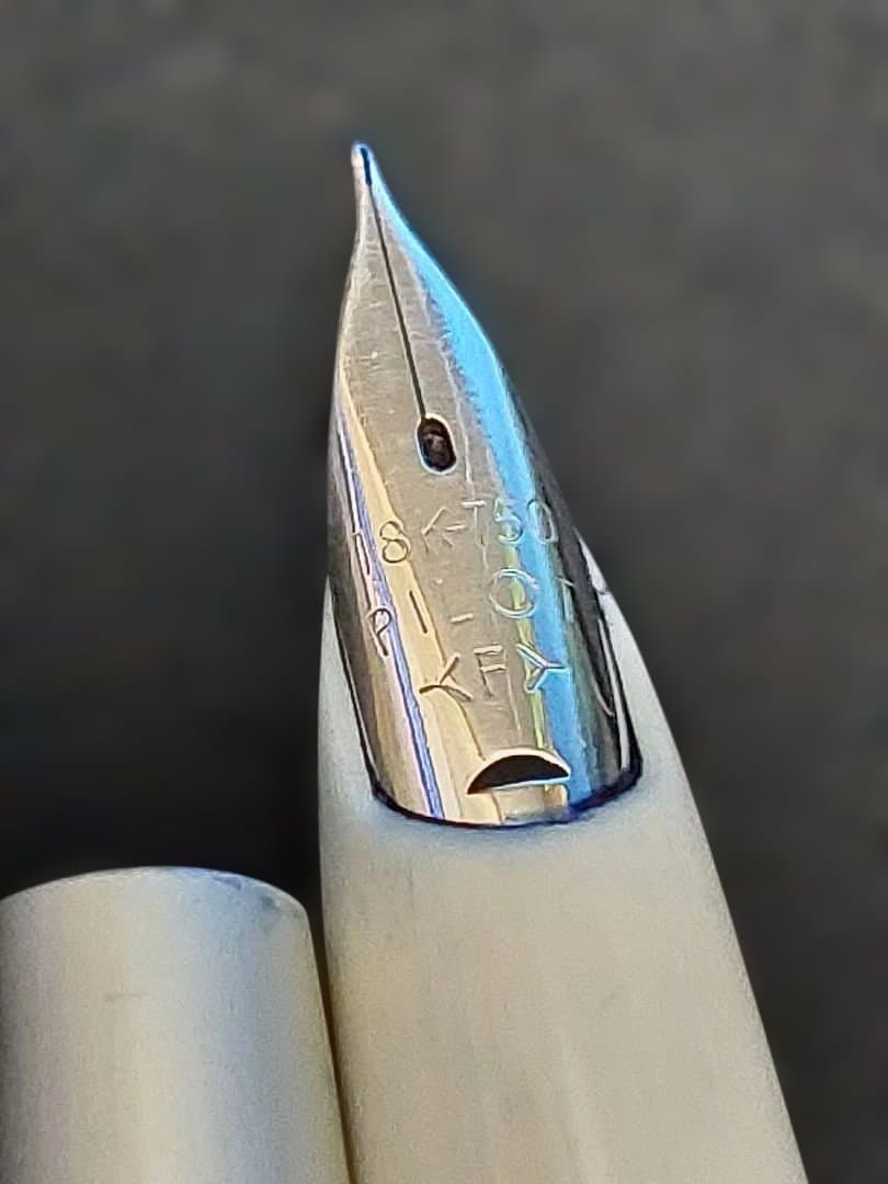 【M (プロフご一読下さい)】パイロット万年筆2本セット