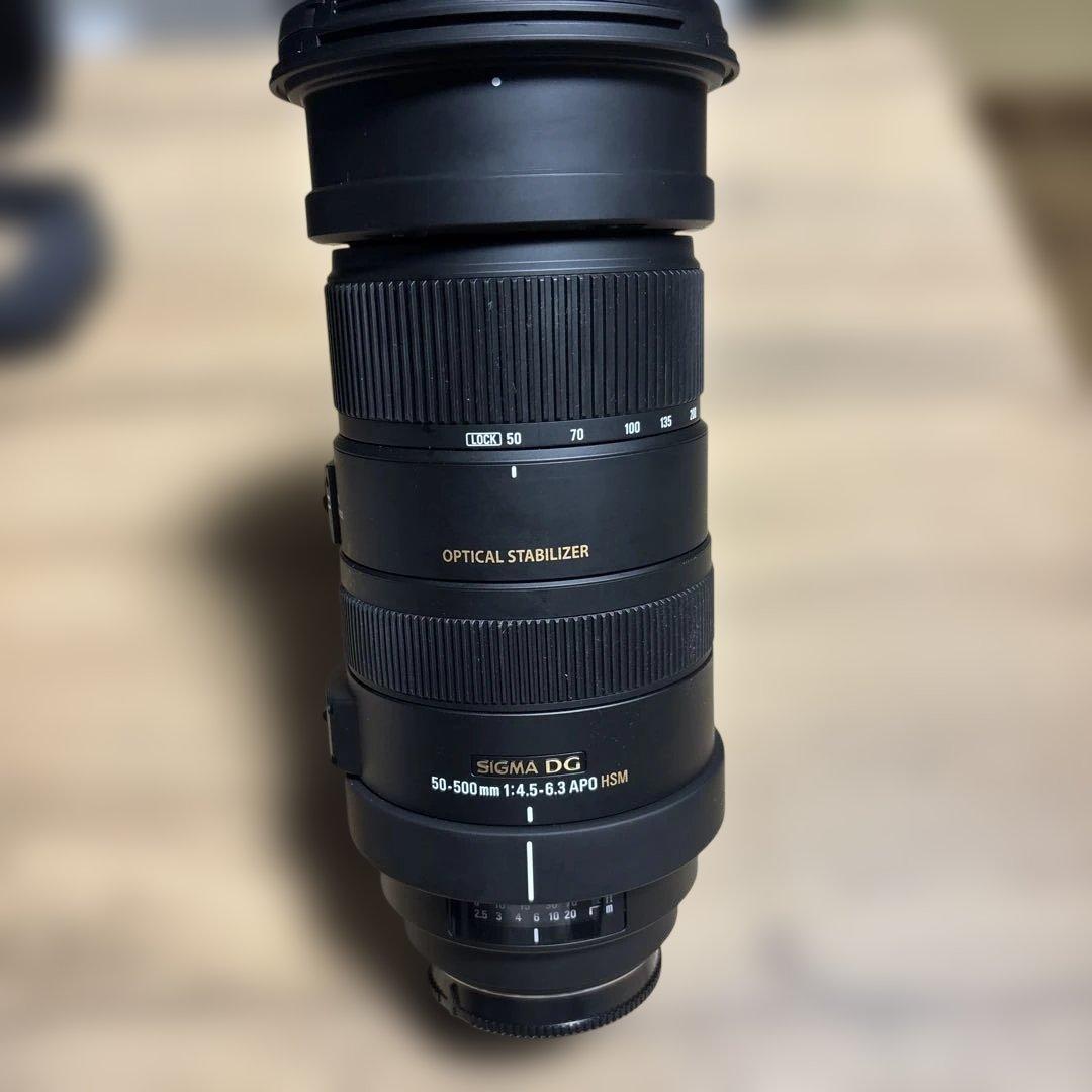 SIGMA レンズ/APO 50-500mm F4.5-6.3 DG OS HS