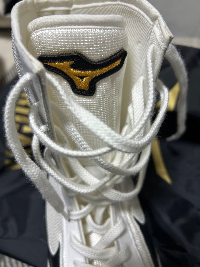 ボクシング シューズ ミズノ 白黒 25.0cm