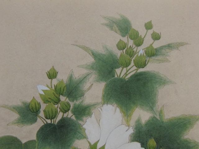 三井淳生、【芙蓉】、希少な額装用画集より、新品額装付、状態良好