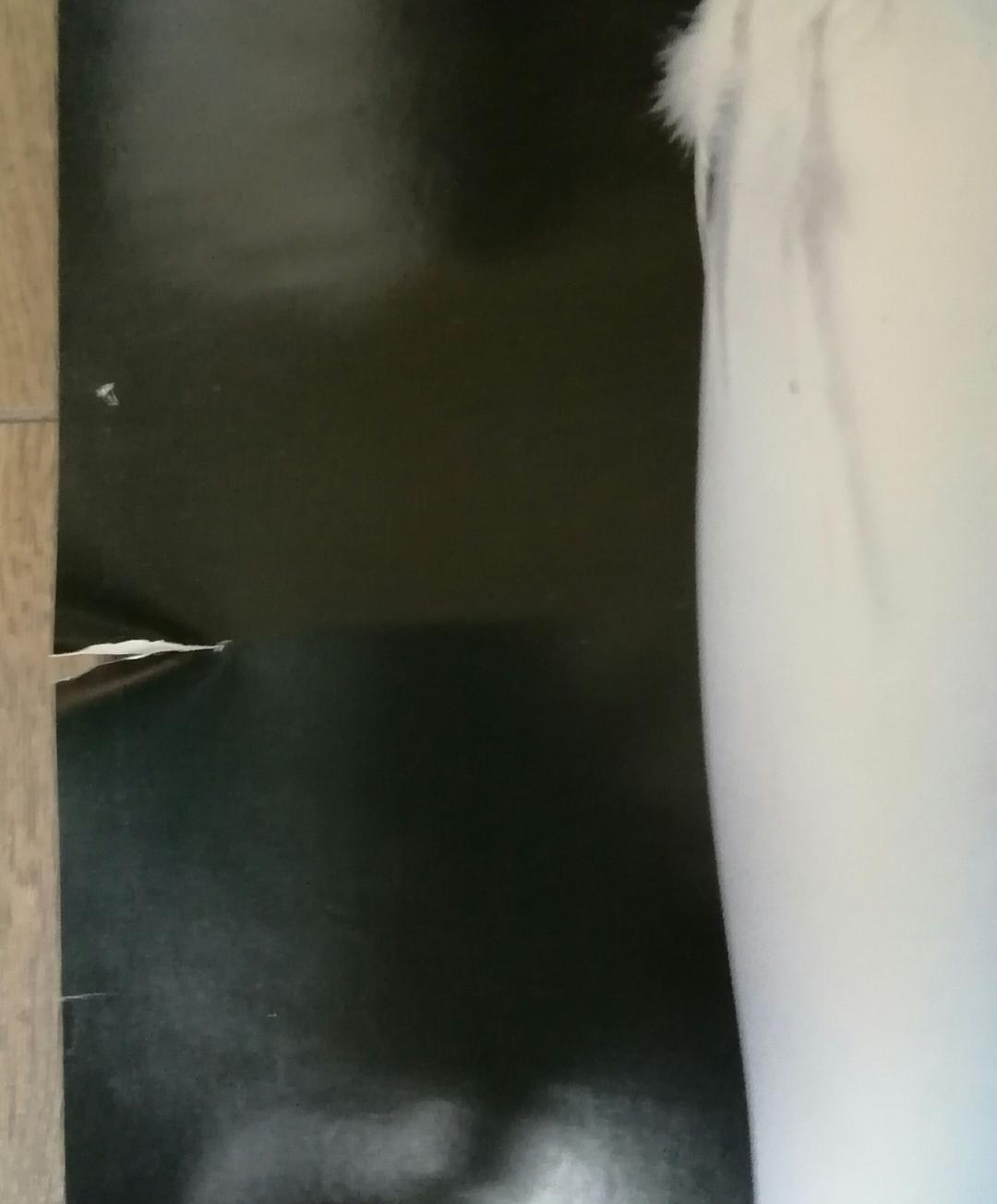 川崎麻世　超レア等身大ポスター