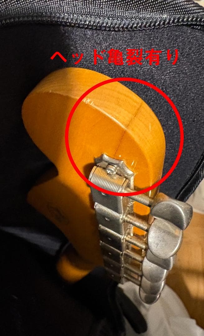 Fender Bass VI サンバースト