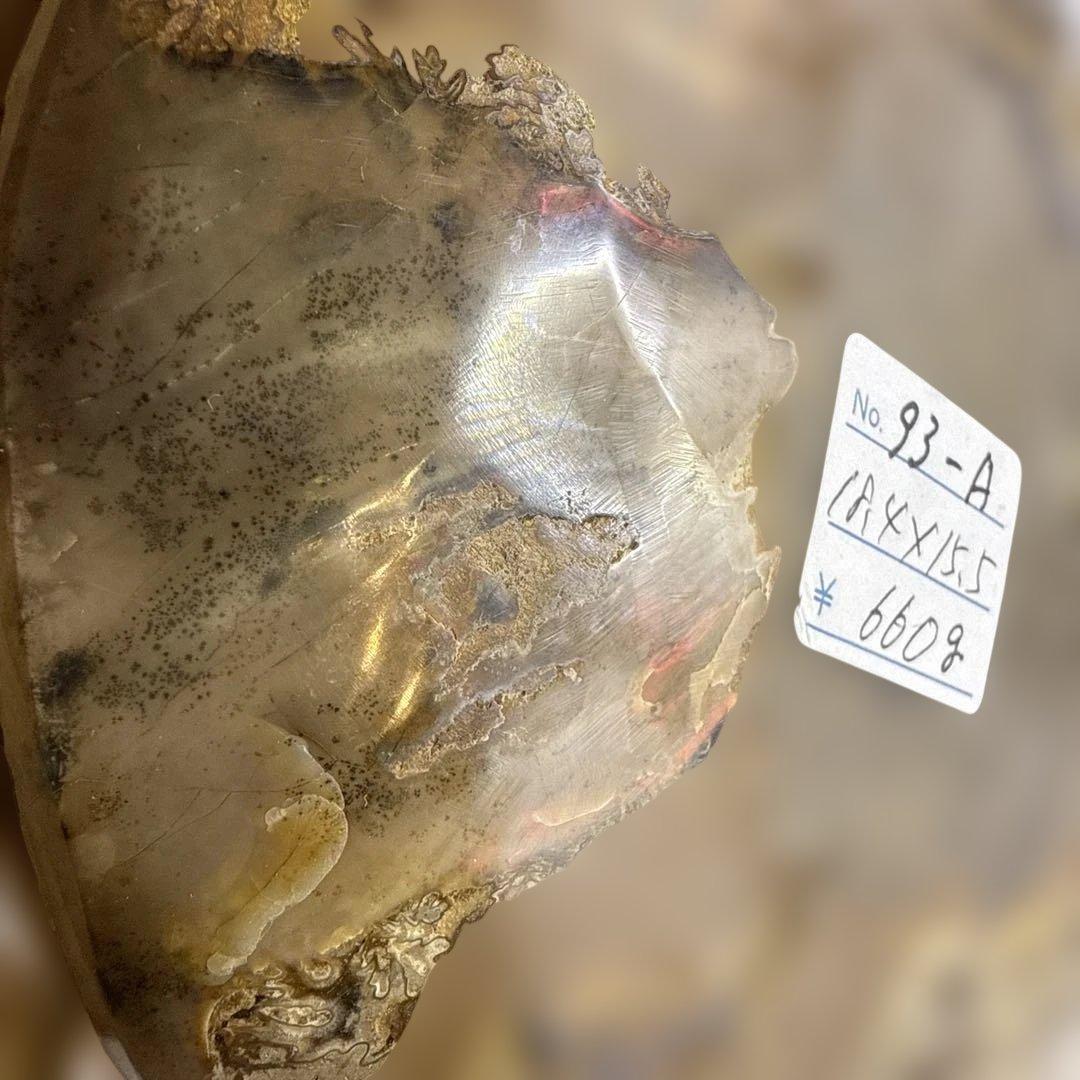 アモナイト化石 ペア　スタンド付き