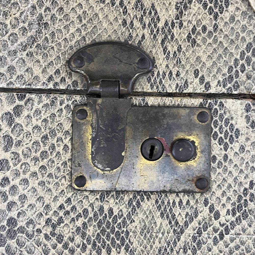 70s ヴィンテージ パイソン柄 トランク/ヘビ柄蛇柄スーツケースアンティーク